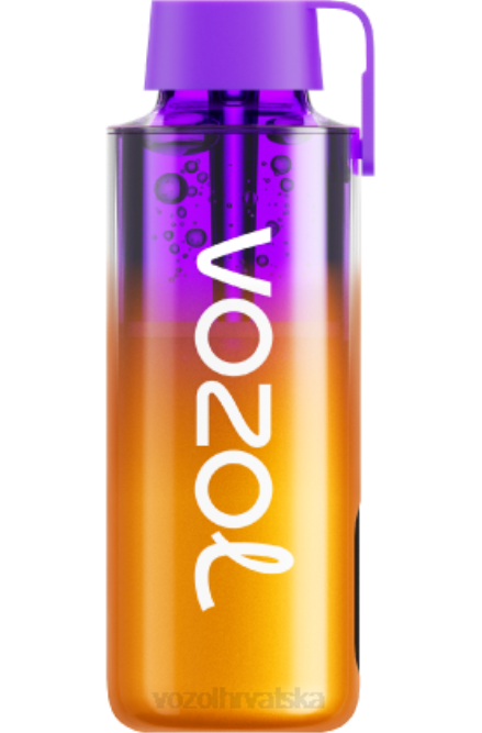 VOZOL Vape Shop | JD46235 VOZOL NEON neon10000 miješano bobičasto voće 10000