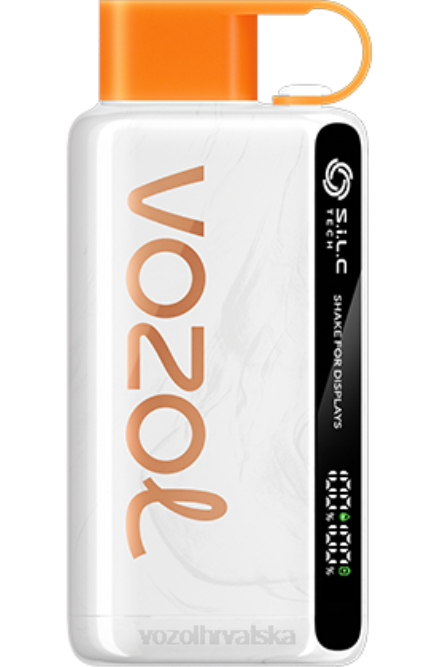 VOZOL Vape Price | JD4644 VOZOL STAR zvijezda 9000/12000 mexica mango ice 9000/12000