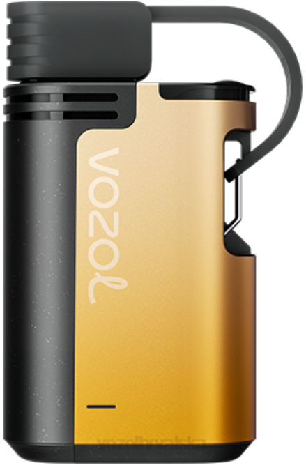 VOZOL Vape Buy Online | JD46326 VOZOL GEAR zupčanici 4000/6000 kivi marakuja guava 4000c/6000