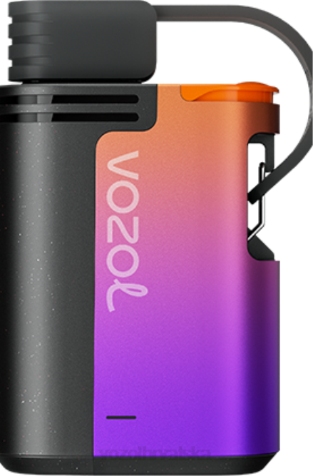 VOZOL Vape Price | JD46324 VOZOL GEAR zupčanici 4000/6000 oluja šumskih bobica 4000c/6000