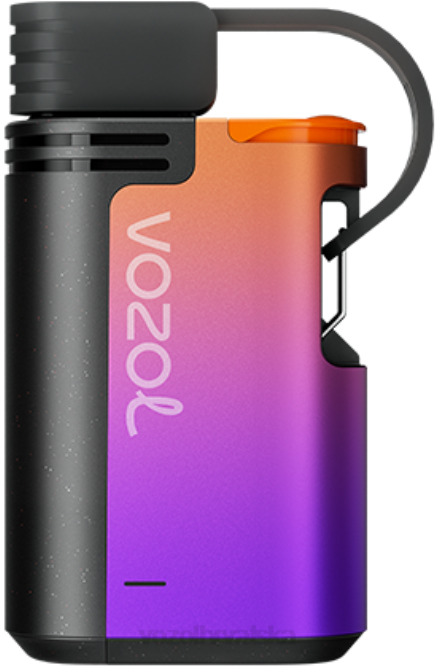 VOZOL Vape Shop | JD46325 VOZOL GEAR zupčanici 4000/6000 led od grožđa 4000c/6000