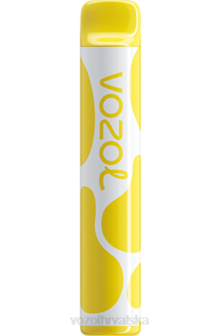 VOZOL Vape Buy Online | JD46376 VOZOL JOYGO joygo 600 led od banane 600