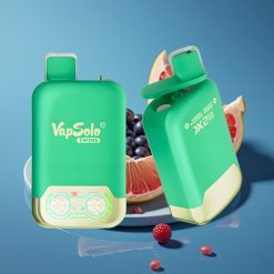 Vapsolo Twins 20000 Puffs Disposable Vape Borovnica Ribizla & Grejpfrut (40ml, Type-C)
