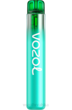 VOZOL Vape Price | JD46264 VOZOL NEON neon800 plavi mojito 800